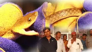 हॉस्पिटल के अंदर निकाला वाटर स्नैक #rescue #ramchandra #saap #wale #water 🐍