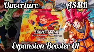 Ouverture ASMR ~ Display Expansion Booster 01