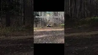 Get Inspired by this mud truck flying through trails