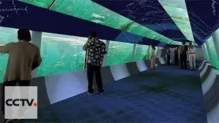 Largest marine exhibit in South America nearing completion