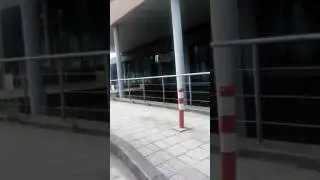 Elvis vlog