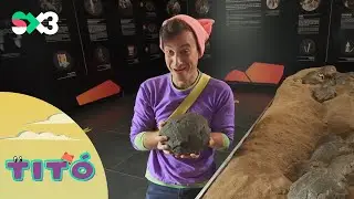 Excursi&oacute; amb ous de dinosaure | Tit&oacute;