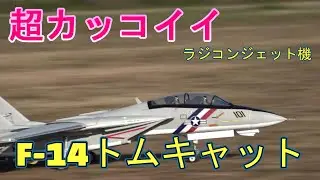 巨大ラジコン飛行機　リアルシリーズ　F14トムキャット　超危機一髪