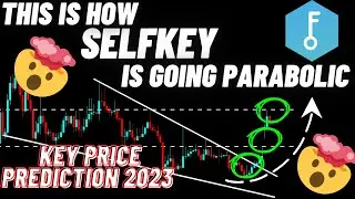 This Is How SelfKey Is Going Parabolic | KEY Price Prediction 2023