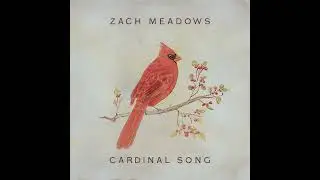 Zach Meadows - Cardinal Song