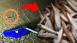 【ワカサギ掬い】少しの変化で世界が変わった