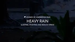 🌧️ Sounds Of Hammering Rain. 10 Hour Sound Of Rain To Sleeping, Studying And Reduce Stress