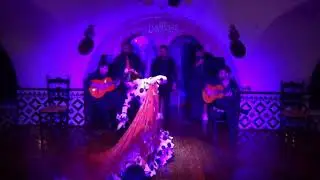 Macarena Ram&iacute;rez en Tablao Flamenco Cordobes Barcelona