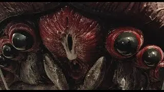 The Science of Starship Troopers' Space Bugs - Offworld Episode 20