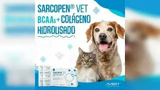 Review: Sarcopen Vet Suplemento Alimentar Para C&atilde;es E Gatos 30 Sach&ecirc;
