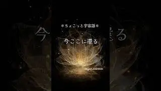 2026年1月16日