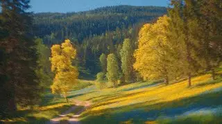 a playlist that makes you feel like you're the main character of an autumn romance novel