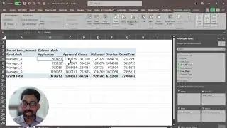 017 Pivot Table   Summarize and Analyze