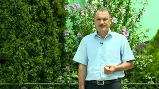 Firuz Səxavət - Biri Sənsən, Biri Mən (Bağ Mövsümü)