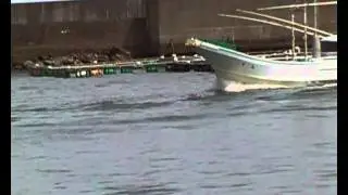boats are coming back empty-handed