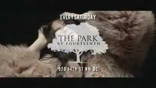 Movement - A Global Experience // Saturdays at The Park at 14th