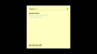Pacou - Remains (1998)