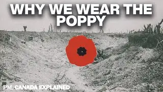Why Canadians wear poppies and why Americans don&rsquo;t - Canada Explained