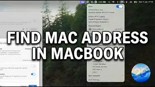How to Find MAC Address on MacBook (macOS 26)