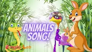 Discover the Native Animals of Australia with Sing-Along Karaoke #karaoke