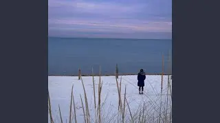 Purple Skies