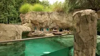 Museum Mention: Seneca Park Zoo 2018