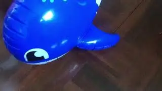 My inflatable whale is back!