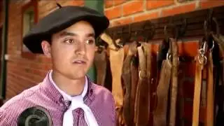 Esporas