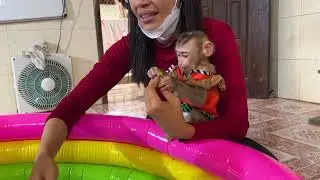 Baby KANHA wants to eat lotus fruit with little monkey Merry