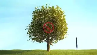 4TREE ver.france