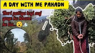 Phadon ka Yeh kam kbhi bhi khatm hi nhi hota hai..🏔😮 // Day 16 // Life with me phadan // full vlog.