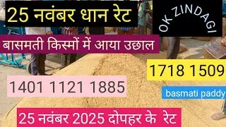 Basmati varieties rise | 1401 1885 1718 1121 1509 pb1 paddy price today #paddy