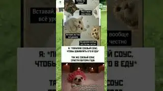 #мем #memes #memasak #юмор #жиза #мемы