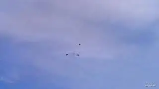 TIRO A VOLO PERCORSO CACCIA : ALLENAMENTO