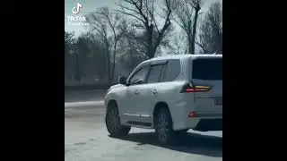 Lexus Gang