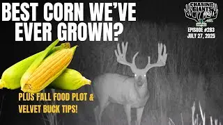 Episode #283 &ldquo;Best Corn Ever? Don & Terry Reveal 2025 Plot Results + Fall Food Plot Timing Tips&rdquo;