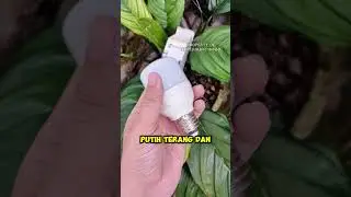 lampu led kecil tapi terang maksimal #lampuhemat #lampuled #lampuawet