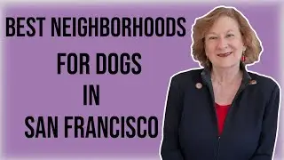 What are the BEST Neighborhoods for Dogs in San Francisco?