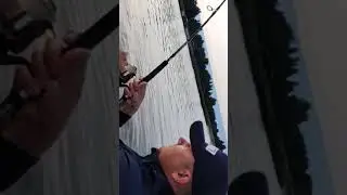 branie suma za żywo / Lowrance Active Target
