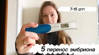 Я беременна!🤰/7-15 дпп/5 победный перенос