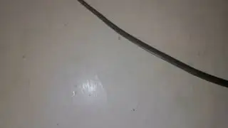 takilid