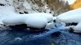 Babbling Brook (White Noise) in Winter Forest | Nature Sounds