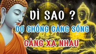 Vợ Chồng Lại Càng Lạnh Nhạt là vì sao #phatdayvecuocsong 