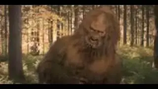 lustiger affe