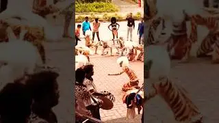 Navaratri Festival Puli Dance | Navaratri Road Procession #navaratri #dance #thelastcholas #shorts