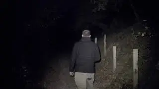 Wald Horror - PreRender