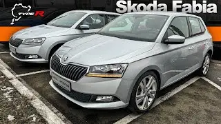 Покупка ДВУХ Skoda Fabia 2020 64т.км - ЛИЗИНГ ПРИГОВОР-в чем ПОДВОХ? ДВОЙНОЙ ОКРАС, крученный пробег