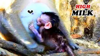 Very cute baby play and start walk but little baby fall