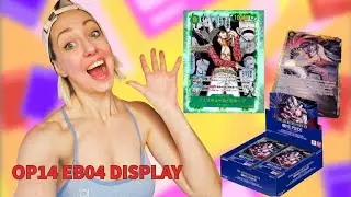 RELEASE OP14 Display Opening The Azure Sea's Seven ENGLISH   One Piece Card Game