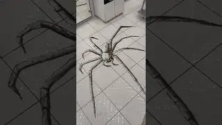 Barber Turns Hair Clippings Into Spider Art 🕷️ #facts #ytshorts #trending